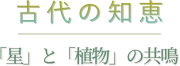 古代の知恵