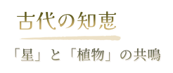 古代の知恵