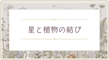 星と植物の結び