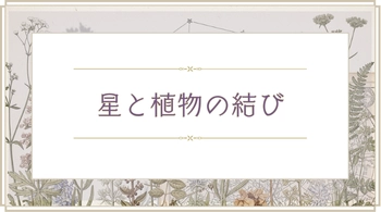 星と植物の結び