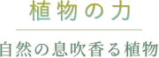 植物の力